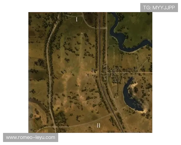 奥利塞是否被高估：数据与战术角色分析